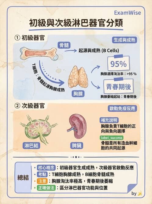 護理師 - 免疫系統組成、抗原-抗體、補體、先天性免疫 - AI 圖文解析預覽