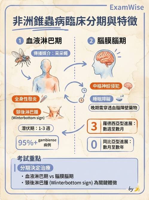 護理師 - 寄生蟲概論 - AI 圖文解析預覽