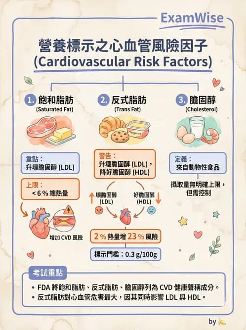 營養 - 脂肪酸種類與必需脂肪酸 - AI 圖文解析預覽