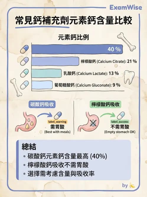 營養 - 巨量礦物質營養素 - AI 圖文解析預覽