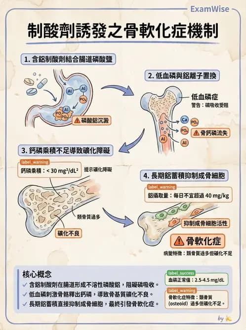 營養 - 巨量礦物質營養素 - AI 圖文解析預覽