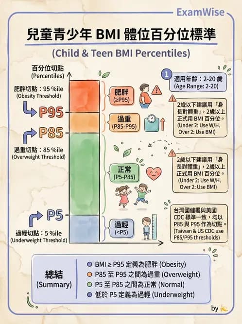 營養 - 營養評估與照護程序 - AI 圖文解析預覽