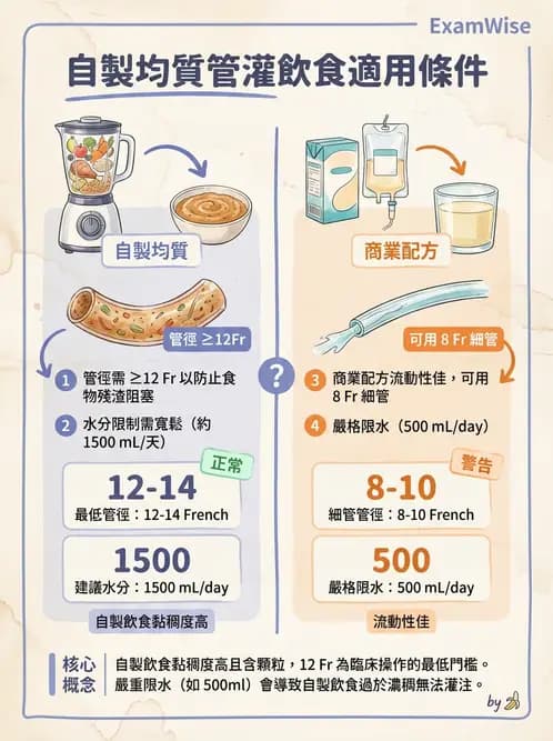 營養 - 營養支持 - AI 圖文解析預覽