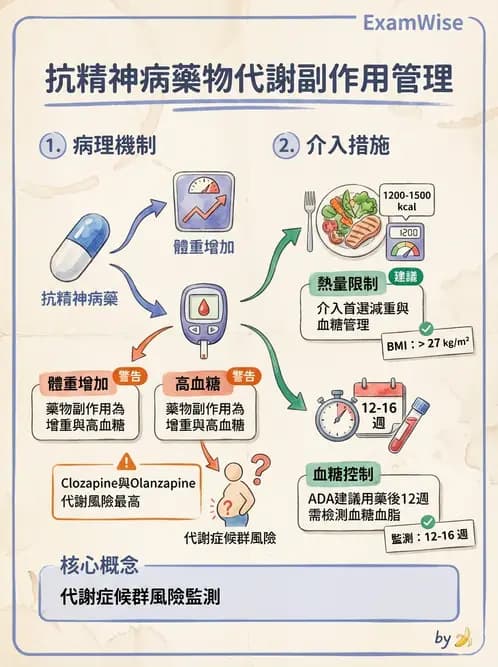 營養 - 藥物與營養素交互作用 - AI 圖文解析預覽