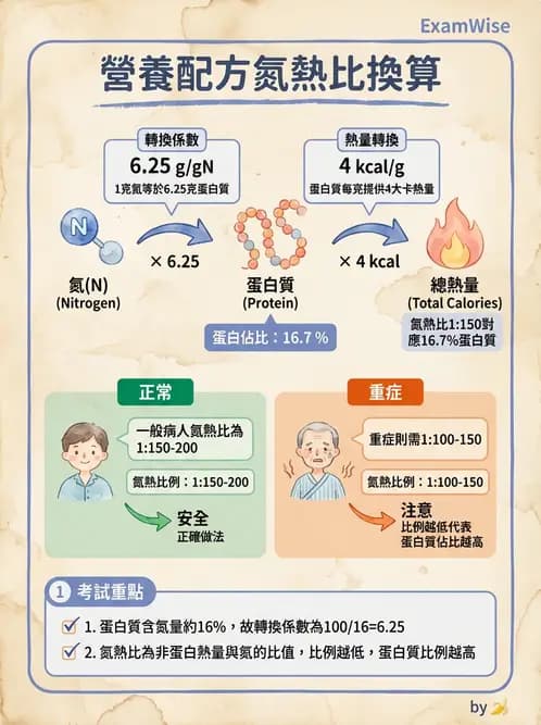 營養 - 營養支持 - AI 圖文解析預覽