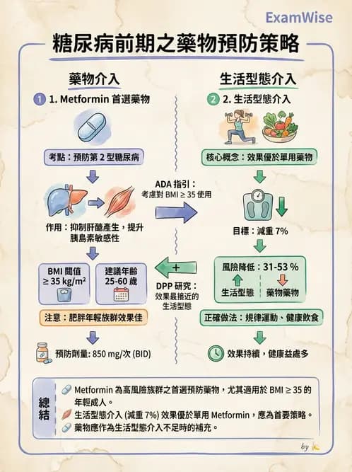 營養 - 糖尿病與代謝症候群 - AI 圖文解析預覽