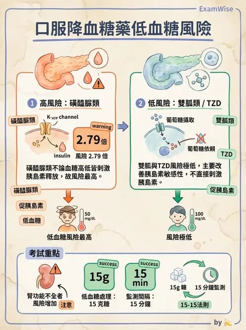營養 - 糖尿病與代謝症候群 - AI 圖文解析預覽