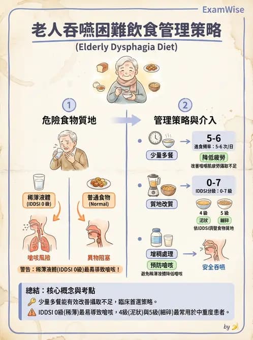 營養 - 老人營養與長期照護 - AI 圖文解析預覽