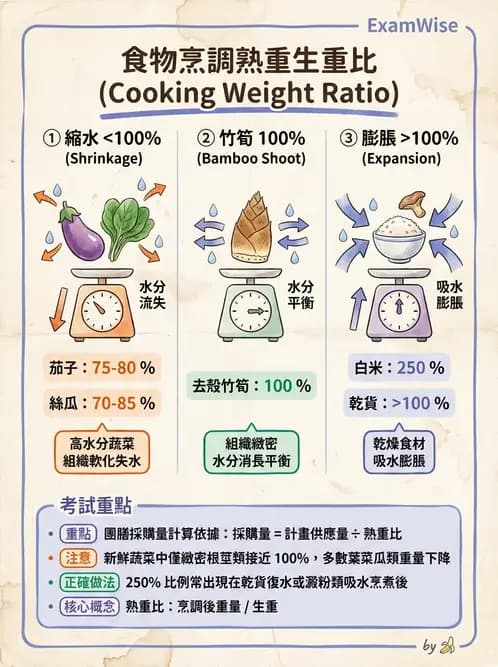 營養 - 食材用量計算與食物代換 - AI 圖文解析預覽