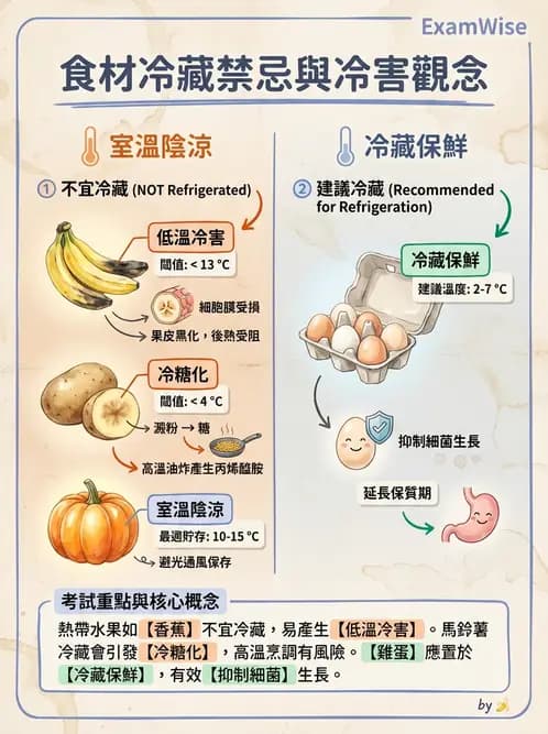 營養 - 庫房管理、食材貯存與盤點 - AI 圖文解析預覽