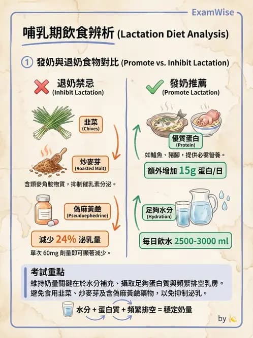 營養 - 母嬰與兒童營養政策 - AI 圖文解析預覽