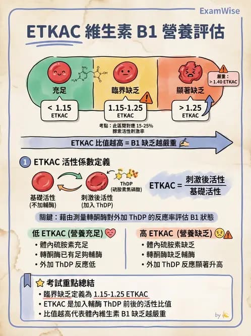 營養 - 生化指標與營養缺乏 - AI 圖文解析預覽