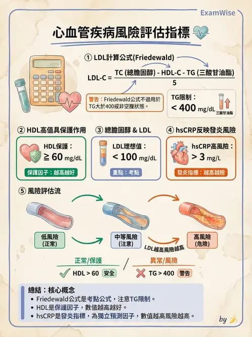 營養 - 生化指標與營養缺乏 - AI 圖文解析預覽