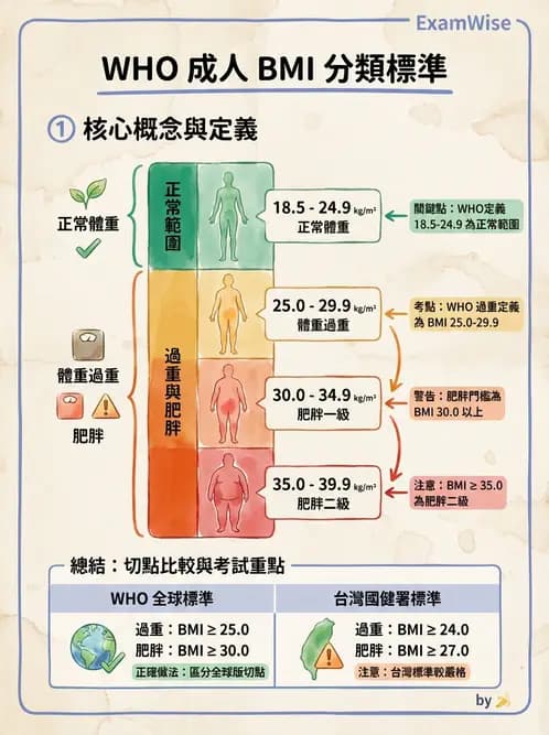 營養 - 體位評估 - AI 圖文解析預覽