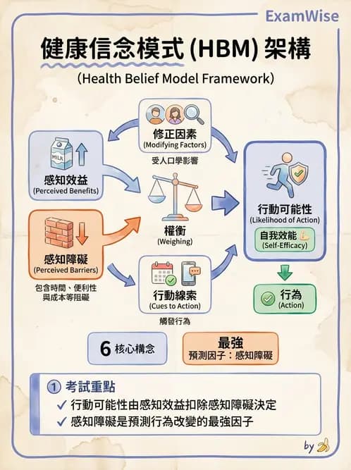 營養 - 健康行為改變理論 - AI 圖文解析預覽