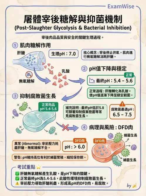 營養 - 食品腐敗微生物學 - AI 圖文解析預覽