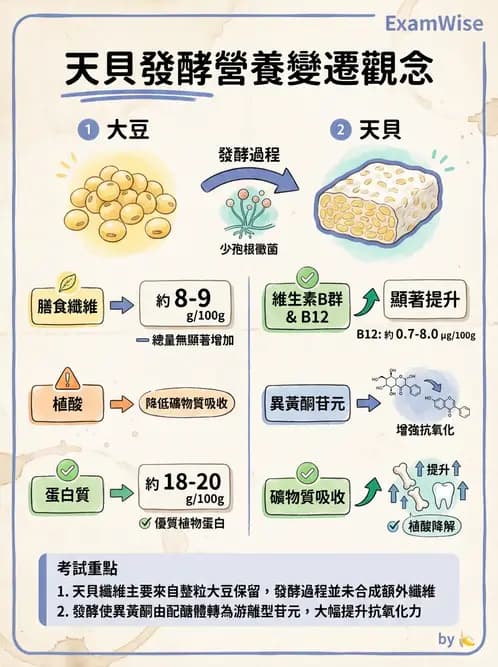 營養 - 食品腐敗微生物學 - AI 圖文解析預覽
