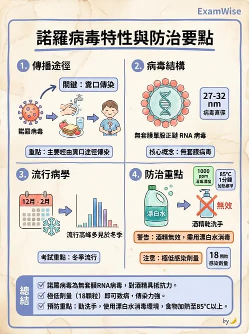 營養 - 食源性病原微生物 - AI 圖文解析預覽