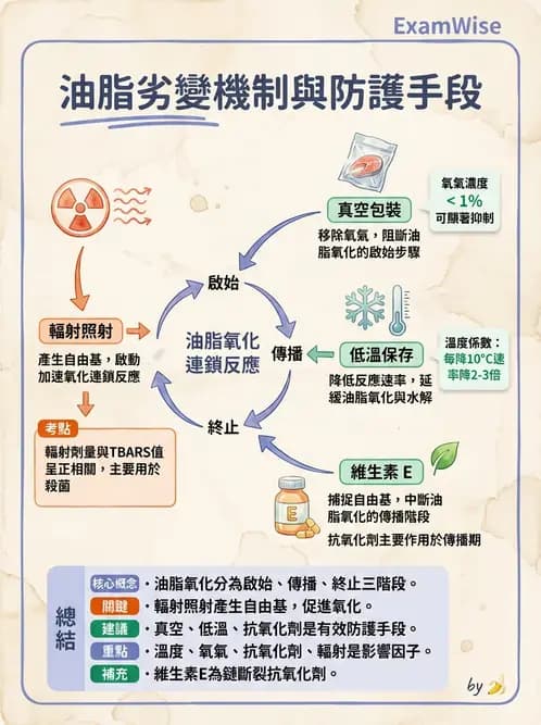 營養 - 食品腐敗微生物學 - AI 圖文解析預覽