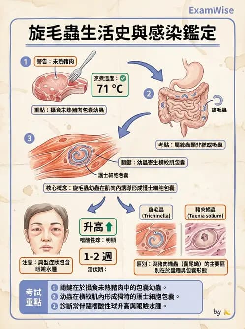營養 - 生物性污染與寄生蟲 - AI 圖文解析預覽