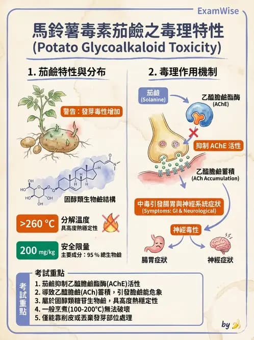營養 - 天然毒素 - AI 圖文解析預覽