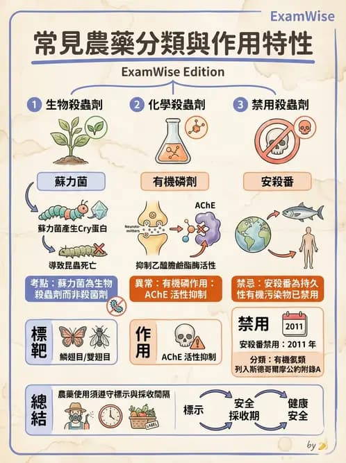營養 - 化學性危害 - AI 圖文解析預覽