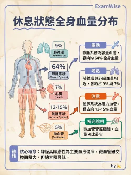 營養 - 心血管系統生理學 - AI 圖文解析預覽