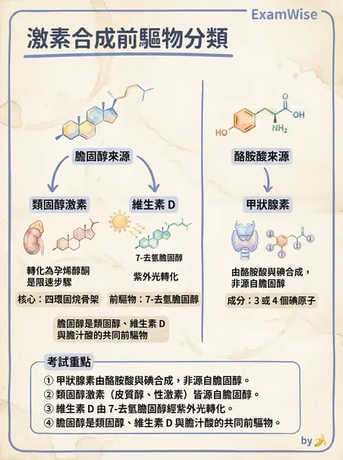營養 - 脂質代謝 - AI 圖文解析預覽