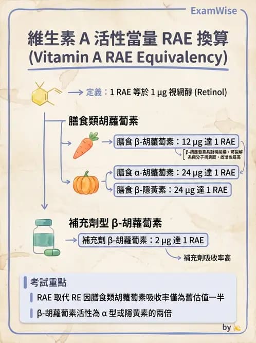 營養 - 維生素A - AI 圖文解析預覽