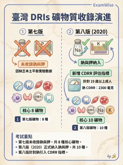 營養 - 巨量礦物質營養素 - AI 圖文解析預覽