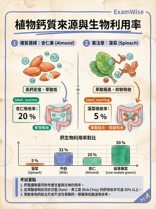 營養 - 巨量礦物質營養素 - AI 圖文解析預覽