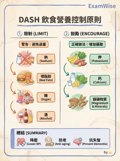 營養 - 當代營養學相關議題 - AI 圖文解析預覽