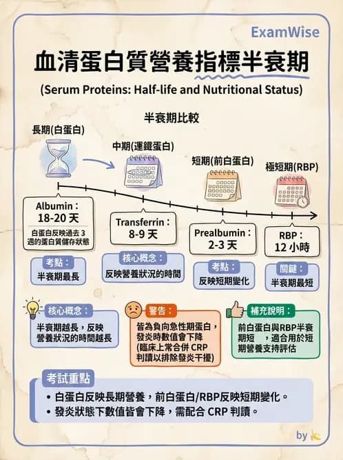 營養 - 營養評估與照護程序 - AI 圖文解析預覽