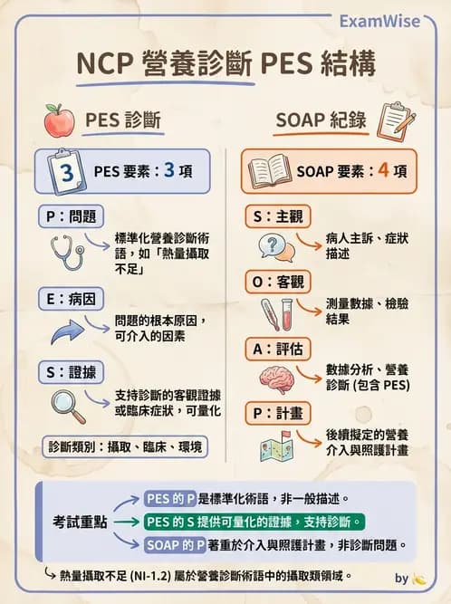 營養 - 營養評估與照護程序 - AI 圖文解析預覽