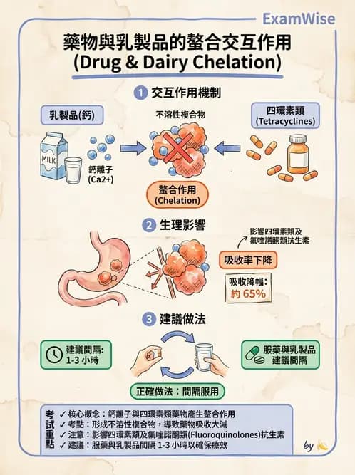 營養 - 藥物與營養素交互作用 - AI 圖文解析預覽