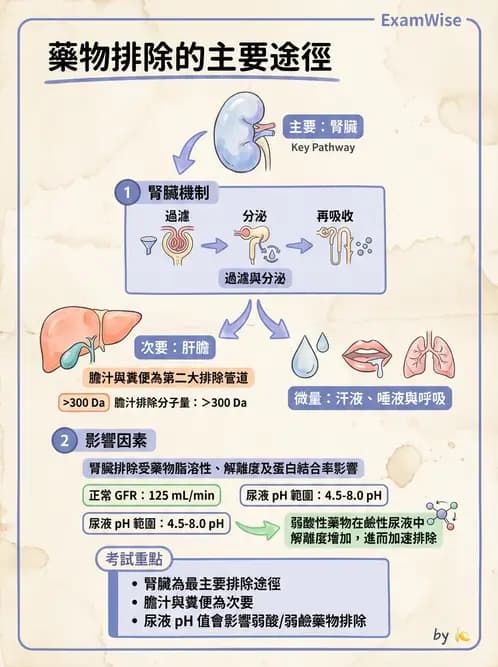 營養 - 藥物與營養素交互作用 - AI 圖文解析預覽