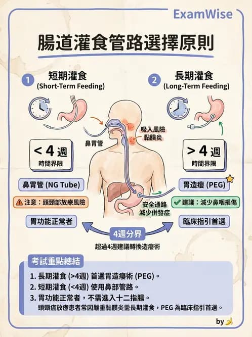 營養 - 營養支持 - AI 圖文解析預覽