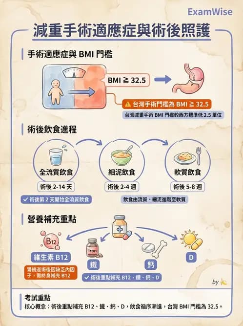 營養 - 體重管理與攝食異常 - AI 圖文解析預覽