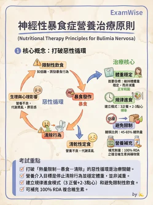 營養 - 體重管理與攝食異常 - AI 圖文解析預覽