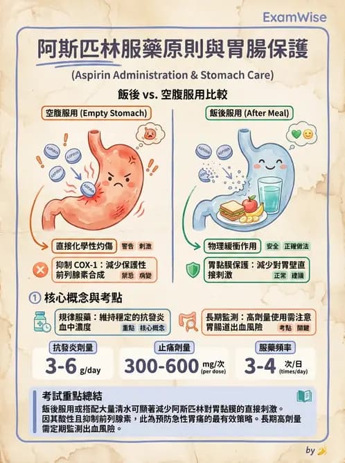 營養 - 骨骼與關節疾病 - AI 圖文解析預覽