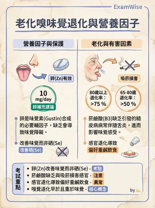 營養 - 老人營養與長期照護 - AI 圖文解析預覽