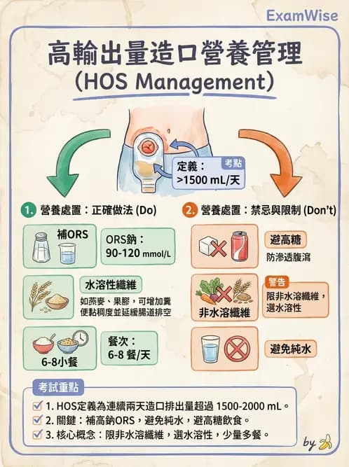 營養 - 癌症營養 - AI 圖文解析預覽