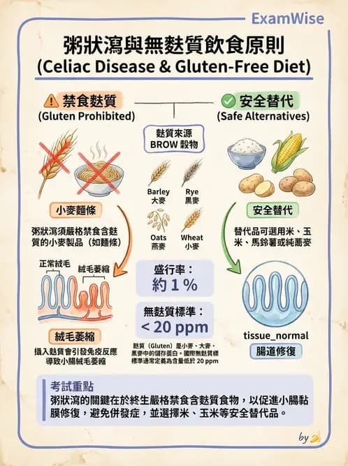 營養 - 腸胃道疾病 - AI 圖文解析預覽