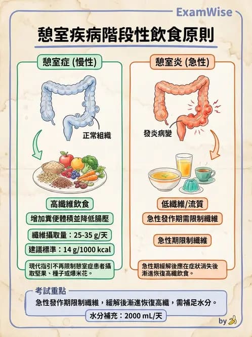 營養 - 腸胃道疾病 - AI 圖文解析預覽