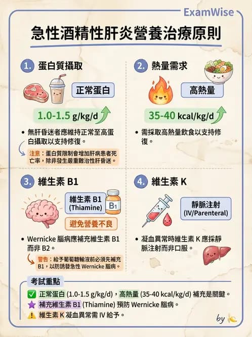 營養 - 肝膽疾病 - AI 圖文解析預覽