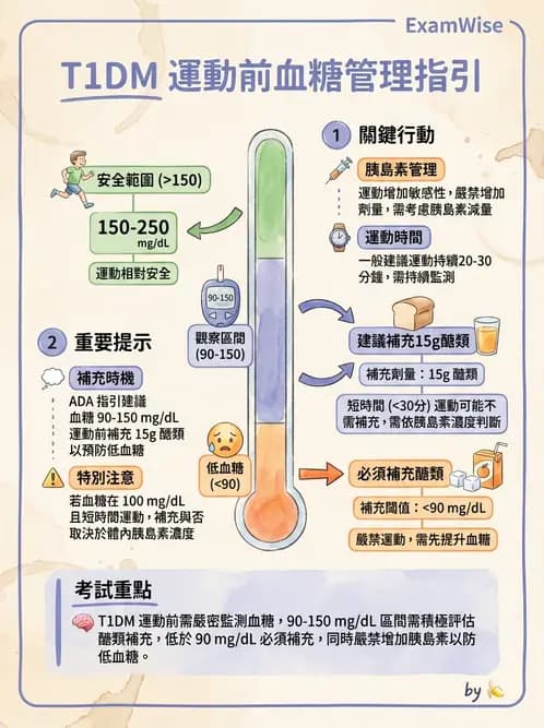 營養 - 糖尿病與代謝症候群 - AI 圖文解析預覽