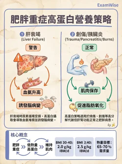 營養 - 重症一般營養照護 - AI 圖文解析預覽