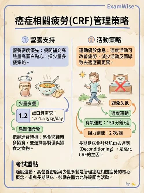 營養 - 癌症營養 - AI 圖文解析預覽