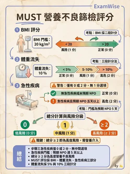 營養 - 營養評估與照護程序 - AI 圖文解析預覽