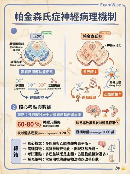 營養 - 藥物與營養素交互作用 - AI 圖文解析預覽